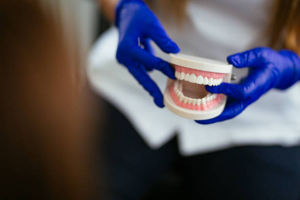 Dental Bonding in Palm Harbor, FL