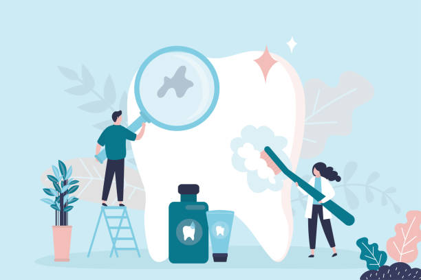 Best Dental Inlays and Onlays  in Palm Harbor, FL