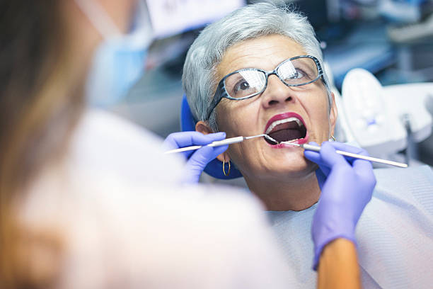 Trusted Palm Harbor, FL  Holistic Dental Services Experts