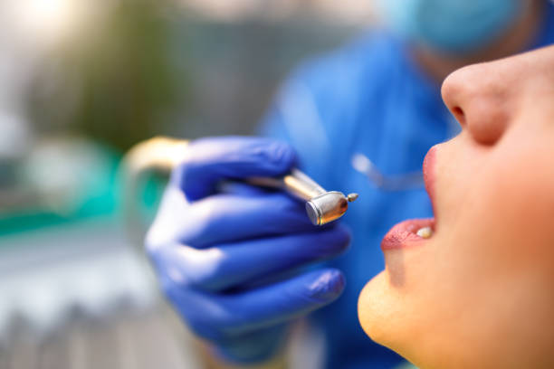 Best Dental X-Rays and Imaging  in Palm Harbor, FL